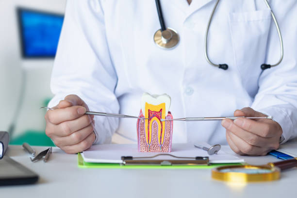 Best Emergency Cosmetic Dentistry in Jekyll Island, GA